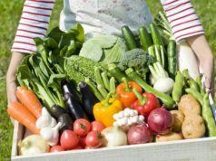 Container Veggies You Can Grow Yourself Container Veggies You Can Grow Yourself