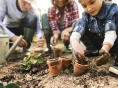 Tips for Transitioning to Organic Gardening Tips for Transitioning to Organic Gardening